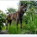 호피농장 이미지