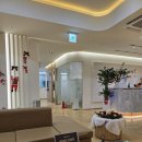 4월31일치과의원 | 🦷 감자네 건강정보 | 주차 편한 '탑플란트치과' 스케일링 후기 (보험 혜택 12월 31일 마감!)