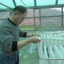 고운자원 이미지