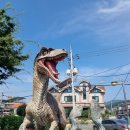 사림동117 이미지