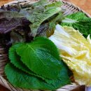 화림식당 이미지