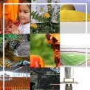 엘리트음악사 이미지