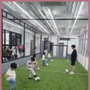 드림에듀 스포츠 앤 유도센터 | 제주유아체육 아이의 몸과 마음을 키워주는 특별한 시간