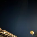 웰컴독 애견펜션 이미지