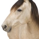 모텔승마 이미지