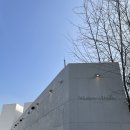 11545-03-25-39 | 메종디탈리 하객솔직후기 주차와 음식 견적 atm 직원태도까지 전부 알려드려요