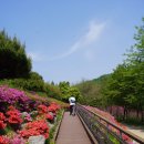 미동산수목원 이미지