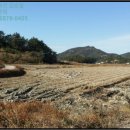 금당면-1 이미지