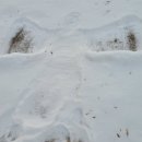 호수담다 이미지