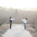 정비사업 행정법률 사무소 이미지