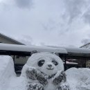 제니바 | 홋카이도 오타루 오션뷰 카페 토쿠미츠 커피 Tokumitsu Coffee 제니바코역 맛집