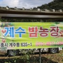 시흥농장 - 시흥시 하우로 6 | 시흥농장