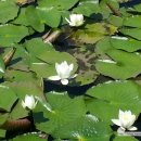 애월의언덕 민박 이미지