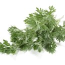 웰빙마취통증의학과의원 이미지