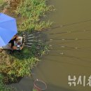 (주)선인 이미지