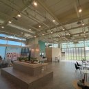 앙쥬레브 애견호텔&애견유치원 송도점 | [송도 앙쥬레브] 인천 애견유치원, 데이케어, 호텔링까지 가능한 애견카페 / 송도 트리플스트리트 애견카페