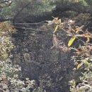 웅남주민복지회관 이미지