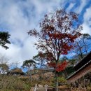 양산 영축산 사명암 단풍 이미지