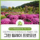 백두그린 이미지