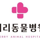 칠보동물병원 이미지