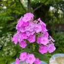 성담산업 이미지