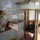 진동물병원 이미지