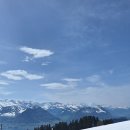 린츠베이커리 이미지