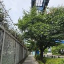 세관길30 | 인천 광역시 인천역에서 월미도 가는 길 후기(2026. 08.17)