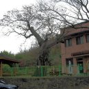 내태2리 이미지