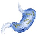 건강약국 이미지