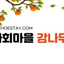 감나무집민박 이미지