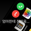 냉부해2 김풍 VS 미슐랭 원스타 손종원 셰프 이미지