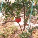 동준농장 이미지