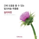 사과약국 이미지