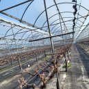 정한농장 이미지