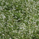 중방농장 이미지