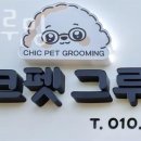 시크펫 그루밍 이미지