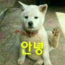 같이