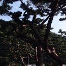 서포리관광지 이미지
