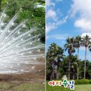 가창상회 이미지