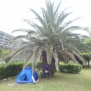 제주아리마찜질방 이미지