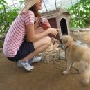 동연농장 이미지