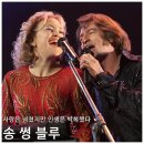 송*욱 - 안양시 동안구 달안로 78 | 영화 송 썽 블루 리뷰 후기 정보 * 실화 소재 음악 영화, 그분들 인생 참 박복했네