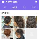 써나헤어 이미지