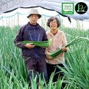 피네농장 이미지