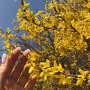 풍진식당 이미지