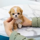 합성동031 이미지