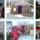 어남약쑥 이미지