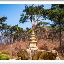 삼막사 감로정 석조 Daum카페