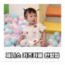 깨끗한 무제한 키즈카페 제니스 키즈카페 안양점 11개월 아기랑 다녀온 후기